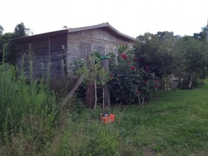 Pedreira (6)
